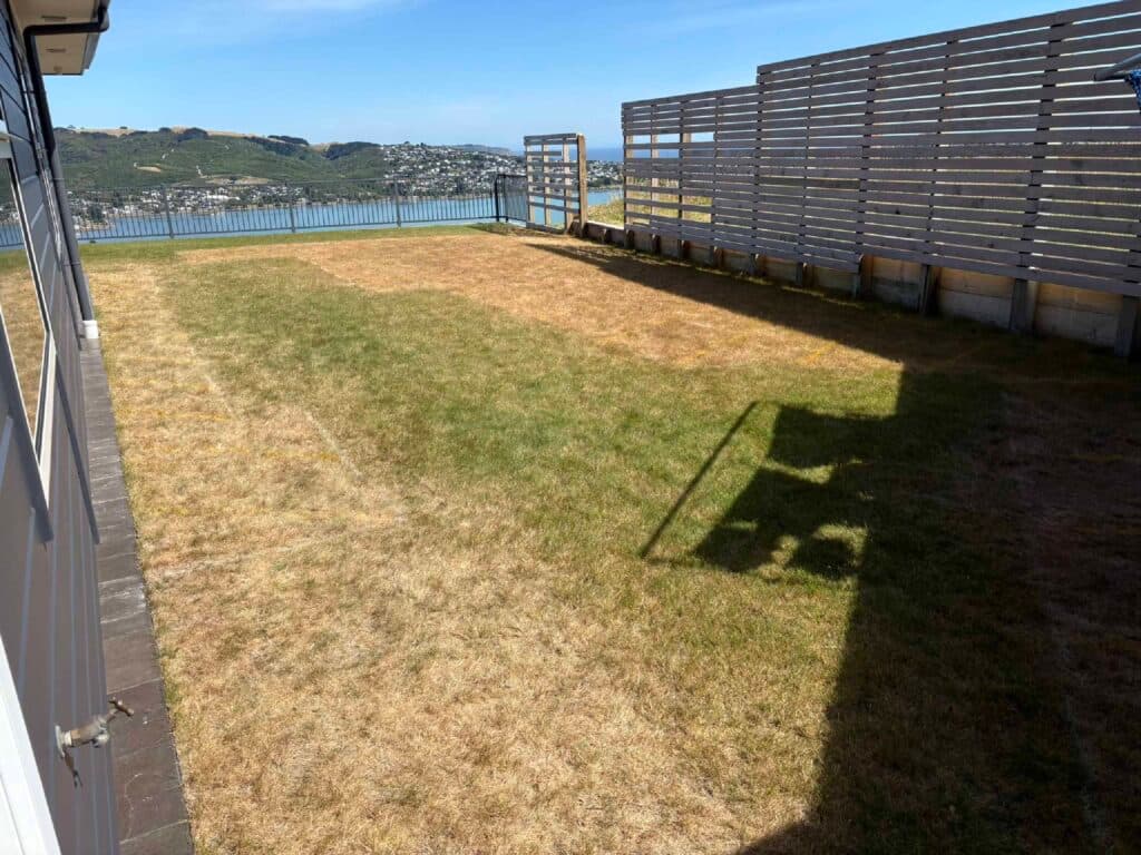 Rotorua Grove before the build, photo 2