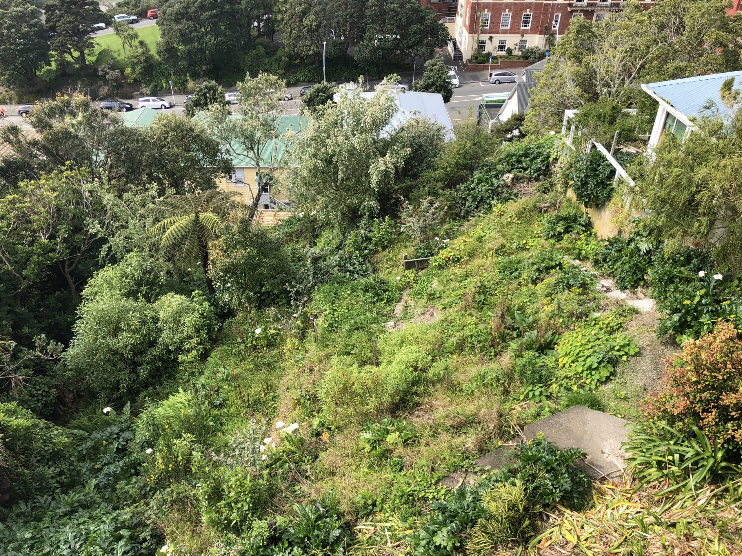 Kelburn before the build, photo 1