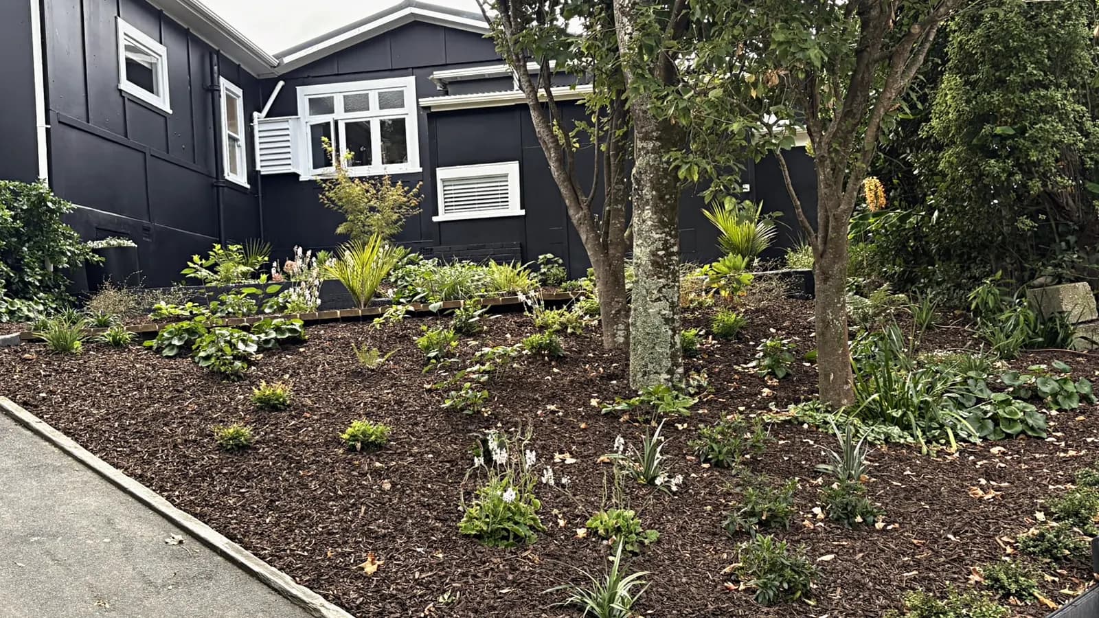 Paremata, after: the same bed cleared, mulched and newly planted, with a timber edge along the drive