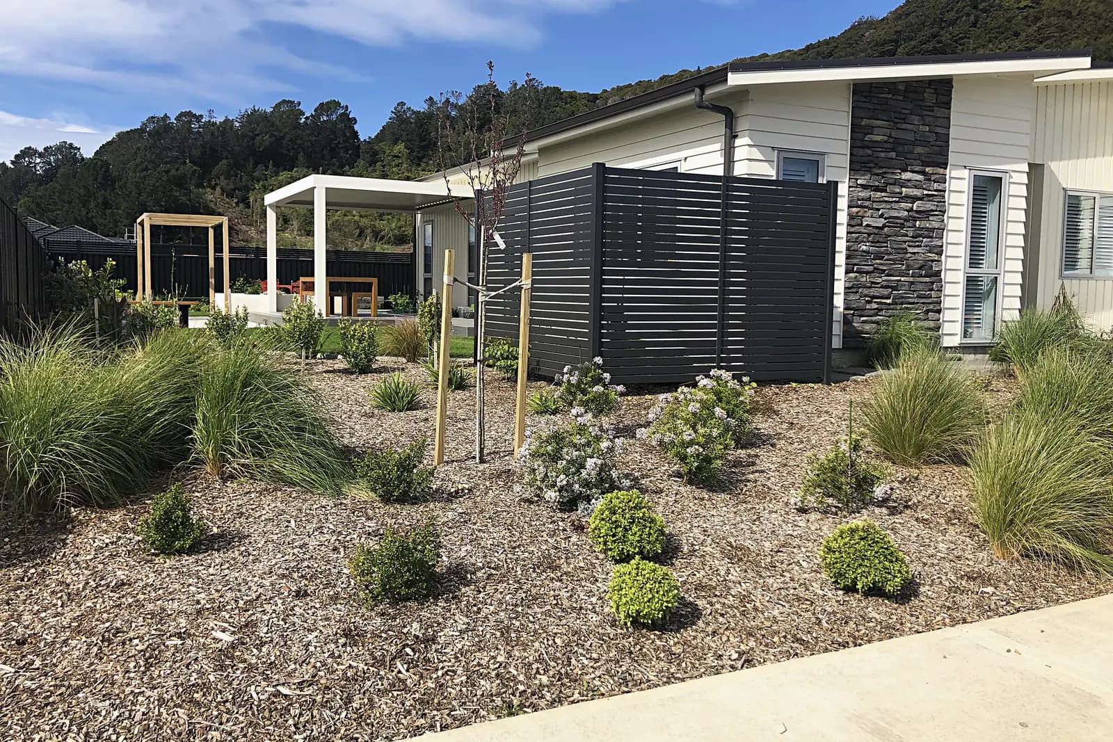 New planting of grasses and shrubs in a front garden, Trentham