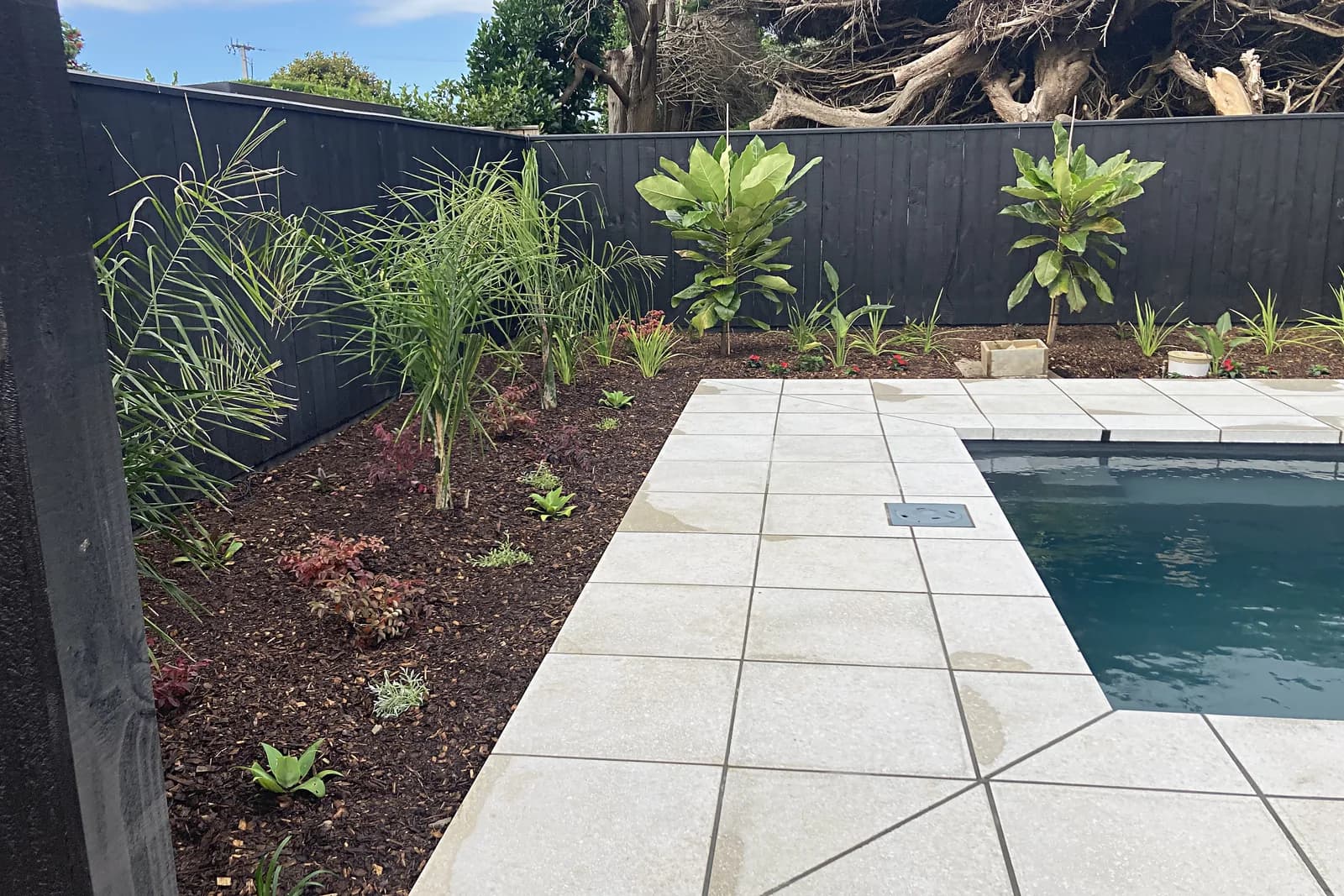 Paving around a pool with new planting, Waikanae
