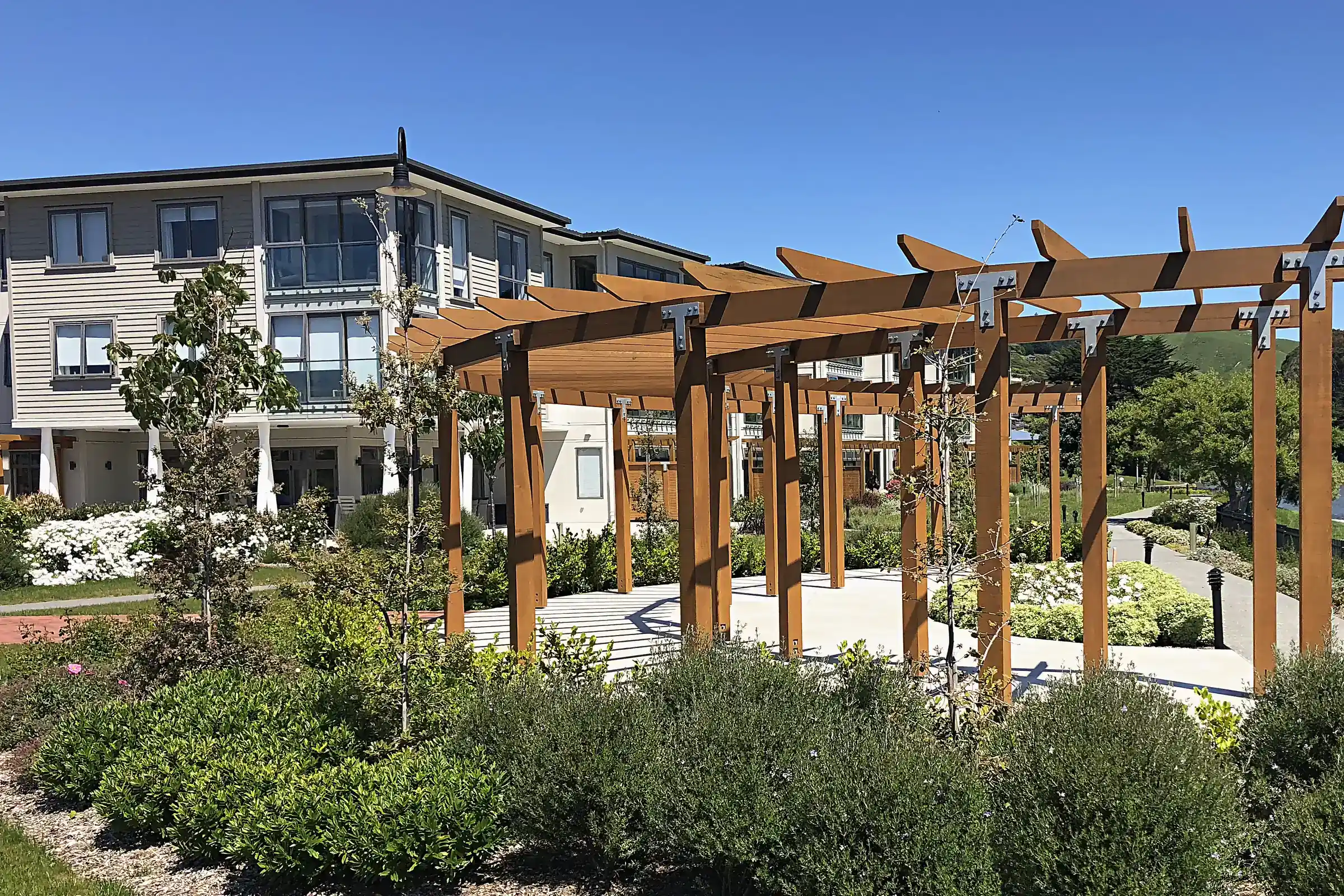 Timber pergola walkway through new planting, Whitby