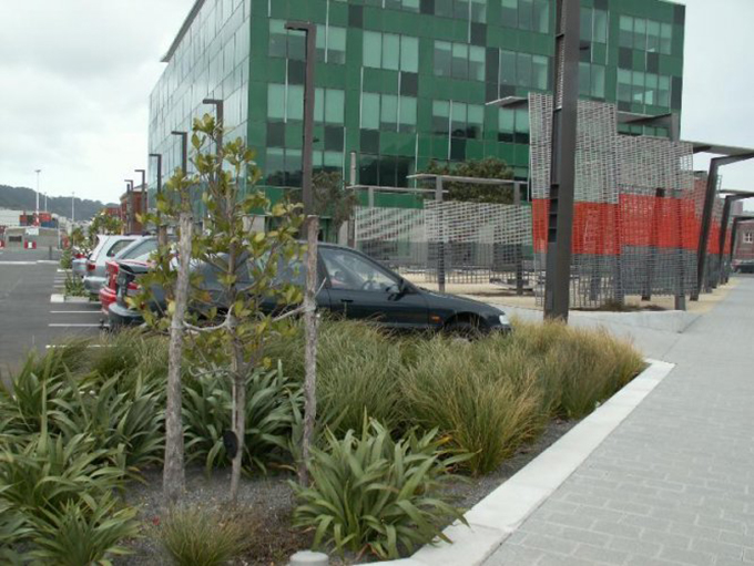 Commercial Landscaping - Carpark Garden - Distinctive Home and Landscapes