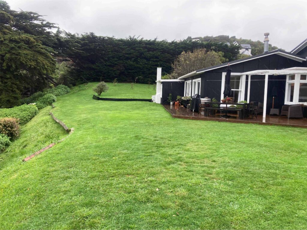Distinctive Home and Landscapes - Paremata Road - Lawn