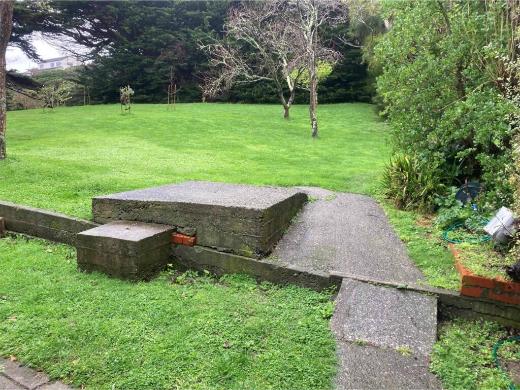 Distinctive Home and Landscapes - Paremata Road - Back Step