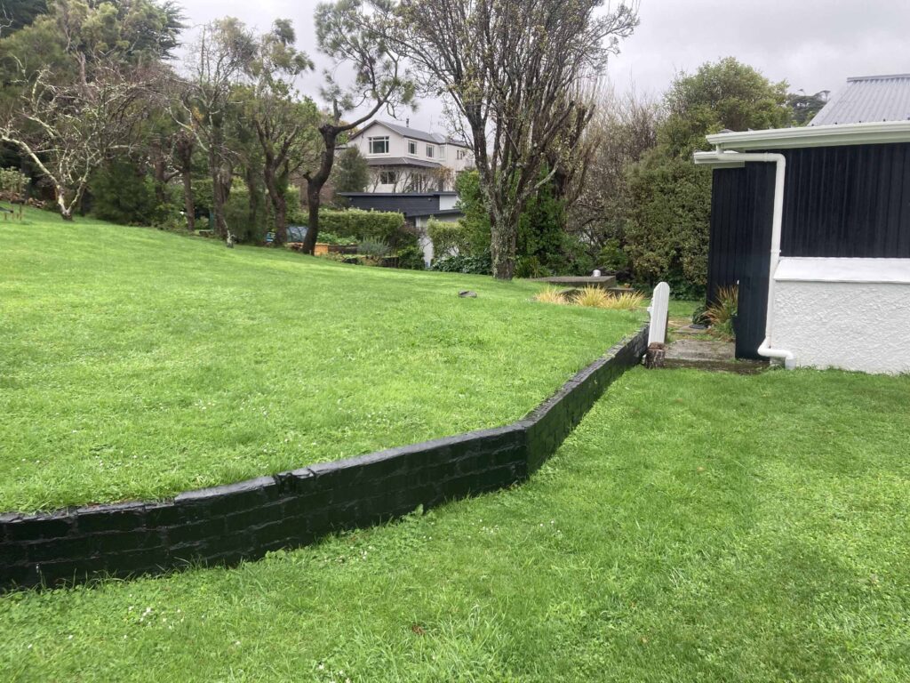 Distinctive Home and Landscapes - Paremata Road - Back Lawn