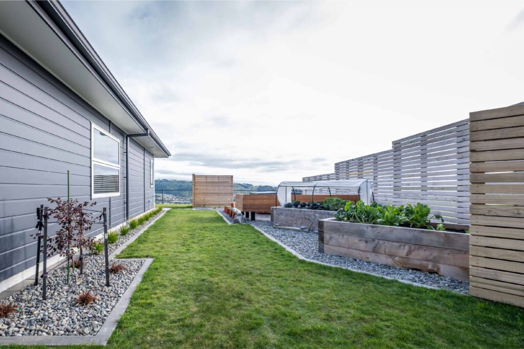 Distinctive Home and Landscapes - Rotorua Grove - Lawn AFTER